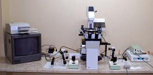 Micromanipolatore con metodo ICSI per la fecondazione in vitro