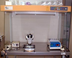 Cappa a flusso luminare con microscopio a base riscaldata e termostato incorporato utilizzato per la manipolazione degli ovociti , il tutto in maniera sterile.