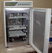 Incubatore per la fecondazione in vitro (FIVET, ICSI)